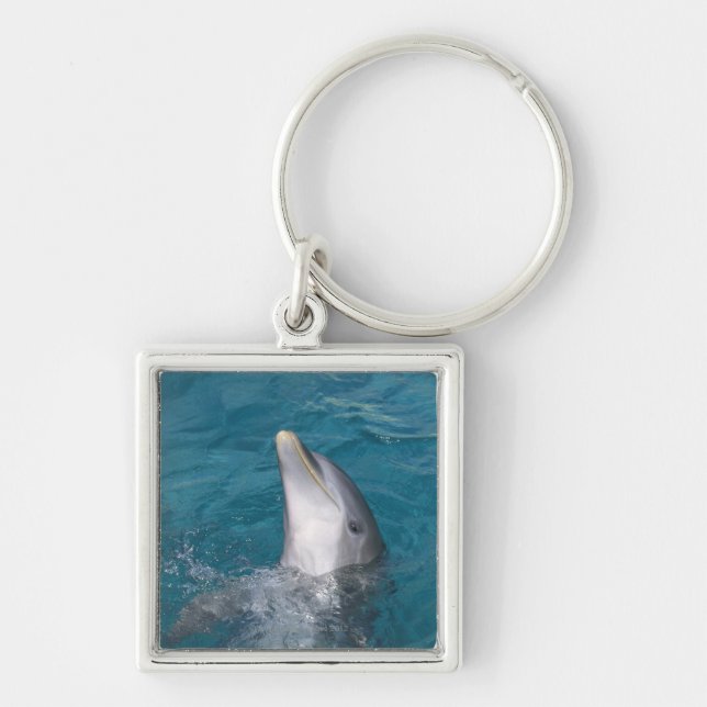 Coastal Bottlenose Dolphin Keychain (Front)