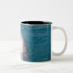 Coastal Bottlenose Dolphin Two-Tone Coffee Mug