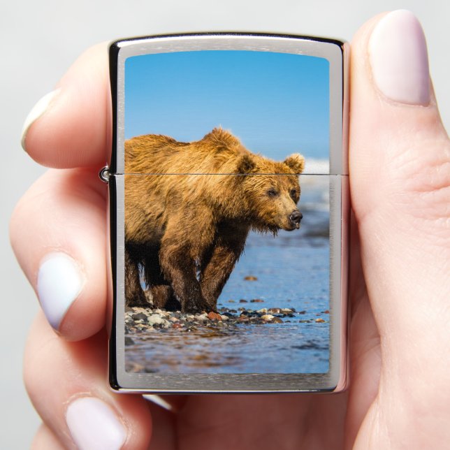 Coastal brown bear Zippo lighter (In Hand)