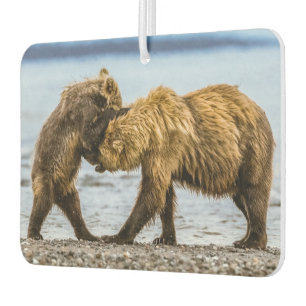 Coastal brown bears air freshener