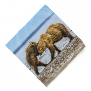 Coastal brown bears bandana