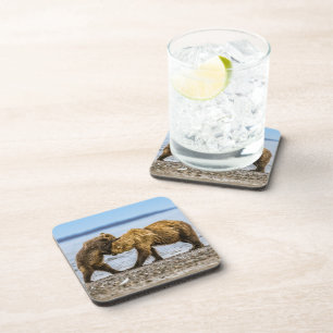 Coastal brown bears beverage coaster