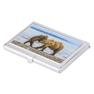 Coastal brown bears business card case