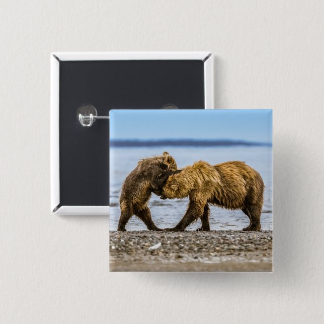 Coastal brown bears button (Front & Back)