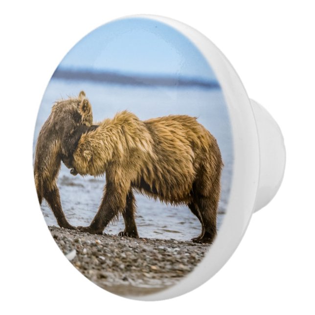 Coastal brown bears ceramic knob (Right)