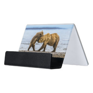 Coastal brown bears desk business card holder