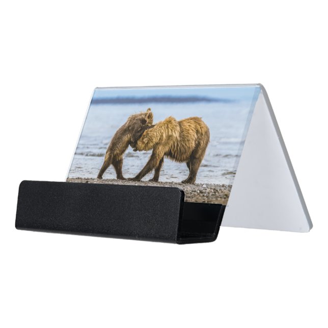 Coastal brown bears desk business card holder (Angled Front)