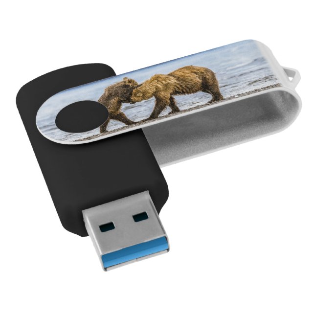 Coastal brown bears flash drive (Angled)