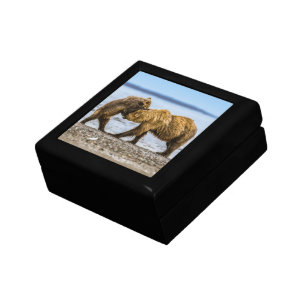 Coastal brown bears gift box