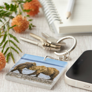 Coastal brown bears keychain