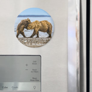 Coastal brown bears magnet