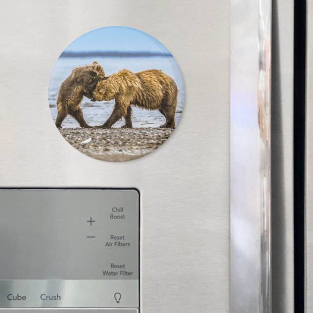 Coastal brown bears magnet (In Situ (Fridge))