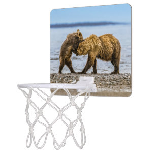 Kodiak Mini Basketball