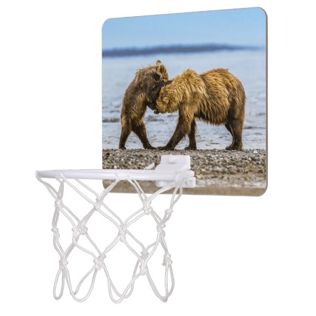 Coastal brown bears mini basketball hoop (Left)