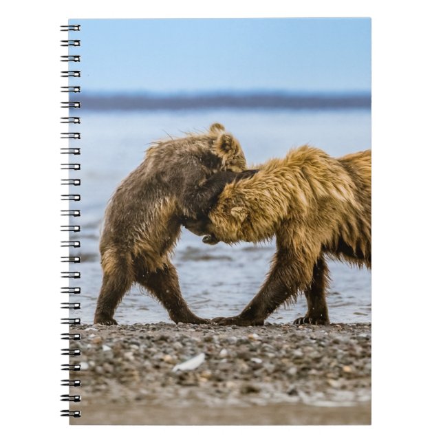 Coastal brown bears notebook (Front)