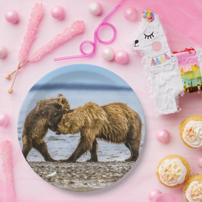 Coastal brown bears paper plates (Party)