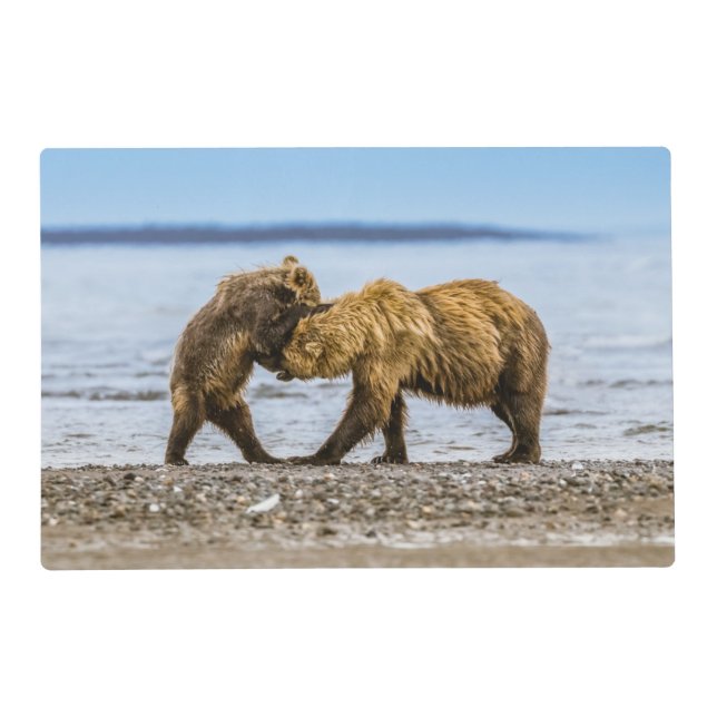 Coastal brown bears placemat (Back)