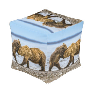 Coastal brown bears pouf