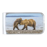 Coastal brown bears