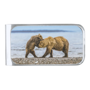 Coastal brown bears silver finish money clip