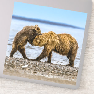 Coastal brown bears sticker