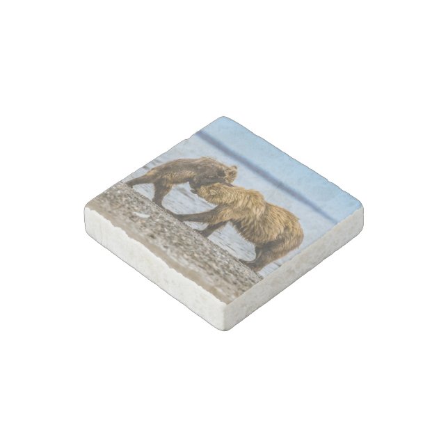 Coastal brown bears stone magnet (Angled)