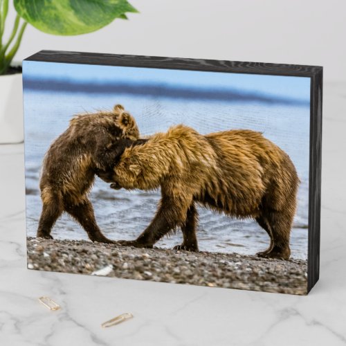 Coastal brown bears wooden box sign