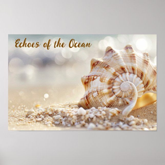 Coastal Calm: Seashell on Sunlit Beach Poster (Front)