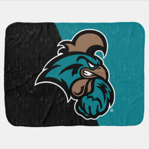 Coastal Carolina Color Block Distressed Baby Blanket