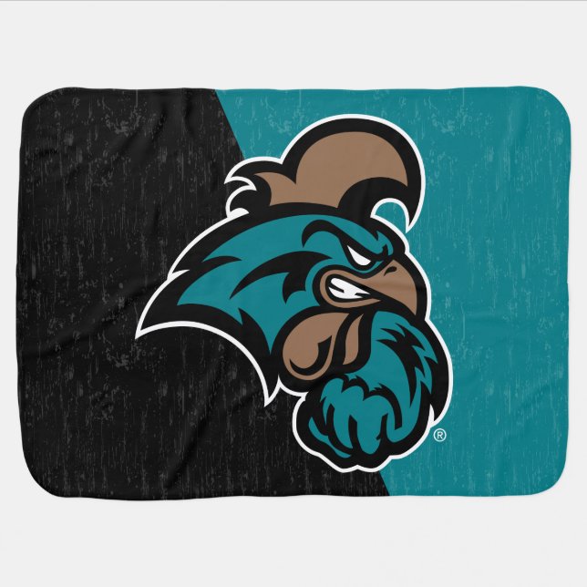 Coastal Carolina Color Block Distressed Baby Blanket (Horizontal)