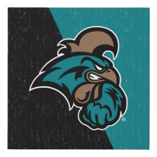 Coastal Carolina Color Block Distressed Faux Canvas Print