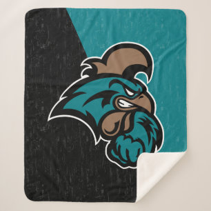 Coastal Carolina Color Block Distressed Sherpa Blanket