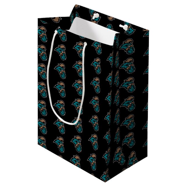 Coastal Carolina Medium Gift Bag (Front Angled)