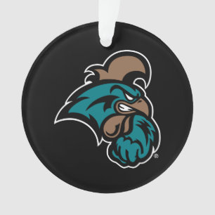 Coastal Carolina Ornament