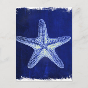 coastal chic beach rustic nautical blue starfish postcard