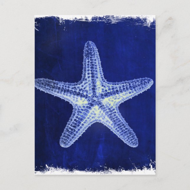 coastal chic beach rustic nautical blue starfish postcard (Front)