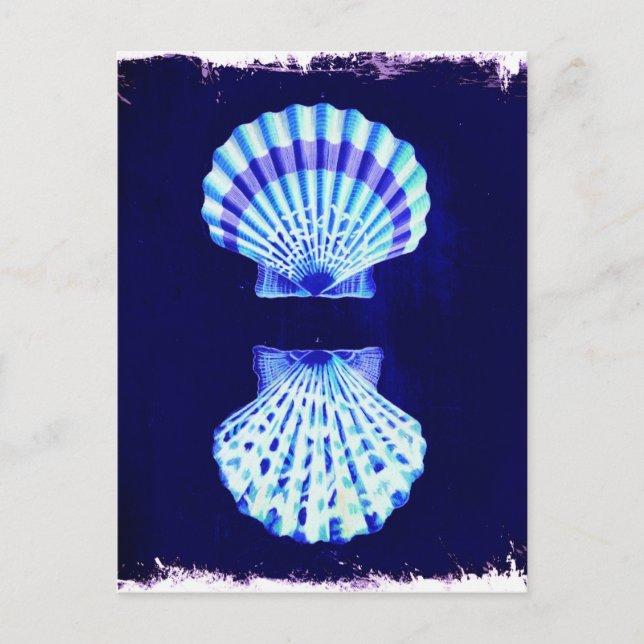 coastal chic beach rustic nautical navy seashells postcard (Front)