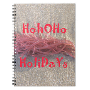 Coastal Christmas: Seaweed on Ash Gray Sand Festiv Notebook