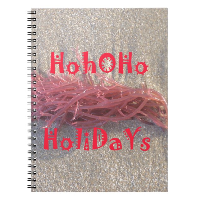 Coastal Christmas: Seaweed on Ash Gray Sand Festiv Notebook (Front)