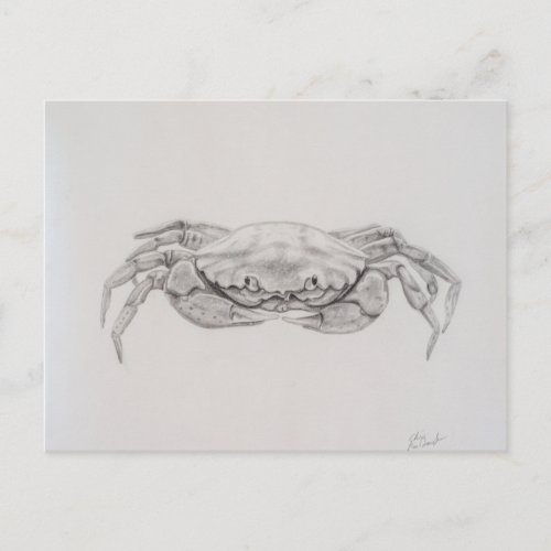 Coastal Crab Drawing Postcard
