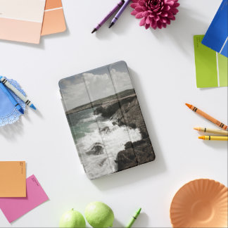 Coastal Crashing Waves iPad Mini Cover