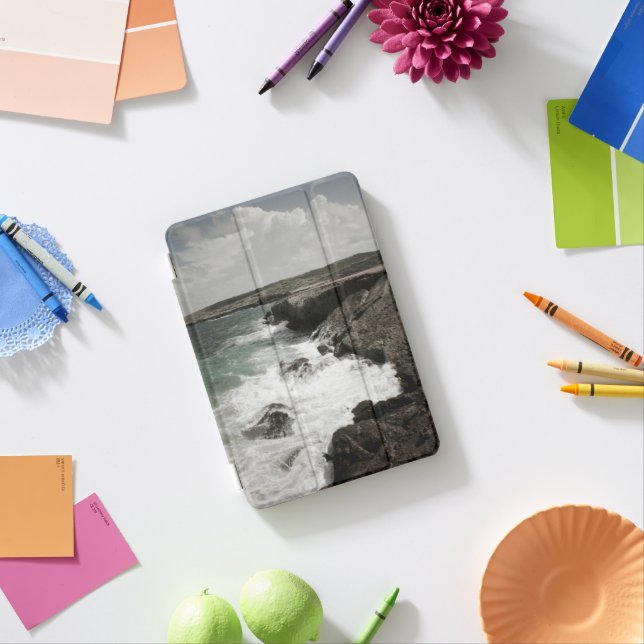 Coastal Crashing Waves iPad Mini Cover (In Situ)