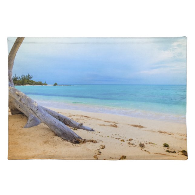 Coastal Driftwood Beach Cloth Placemats (Front)