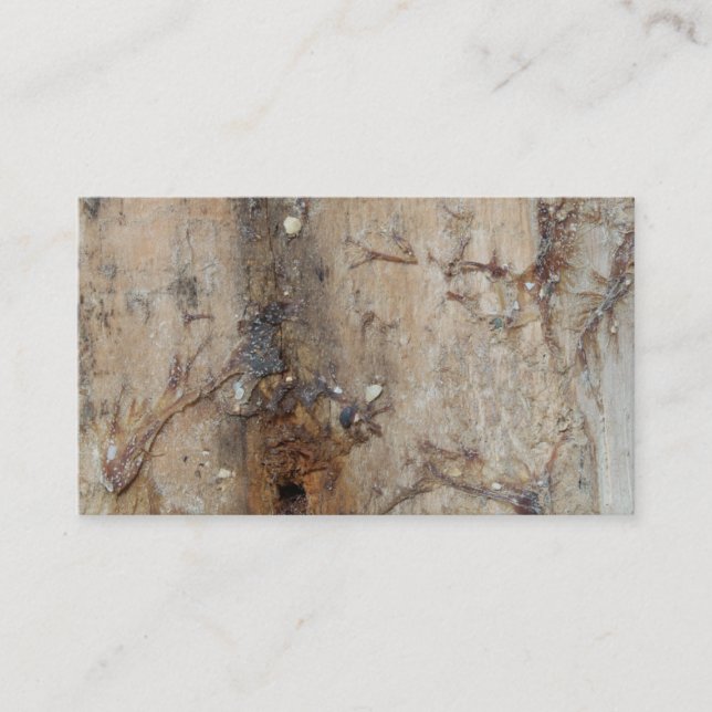 Coastal Driftwood Picture Business Card (Front)