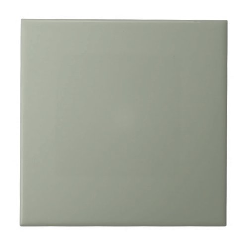 Coastal Flatland Square Kitchen and Bathroom Ceramic Tile