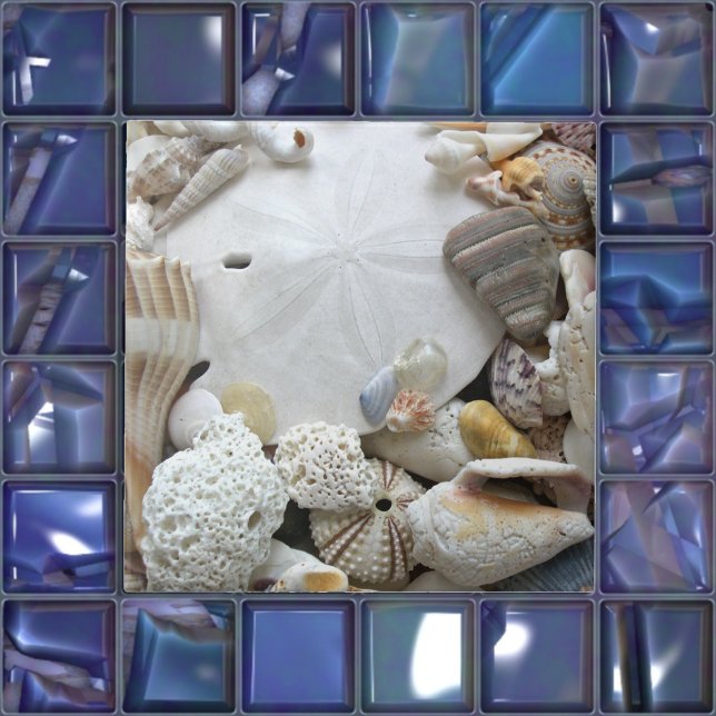 Coastal Home Sand Dollar Seashells Ceramic Tile (Creator Uploaded)