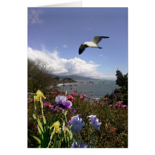 Coastal Living Cards (Front)