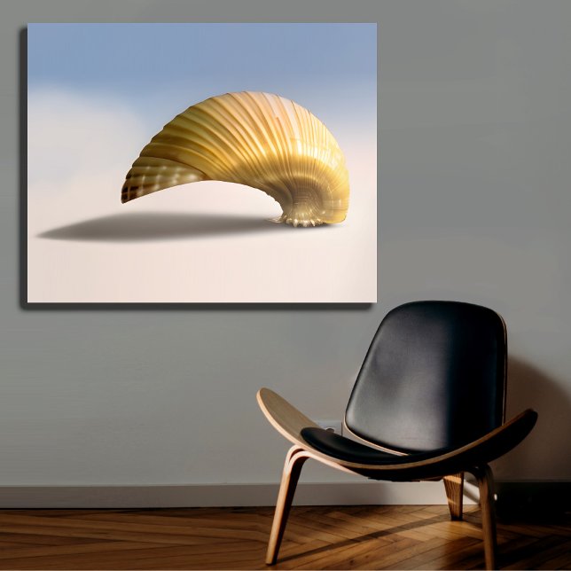 Coastal Living Seashell Wall Art (Creator Uploaded)