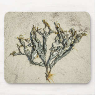Coastal Maine Seaweed on a Sandy Beach Mouse Pad