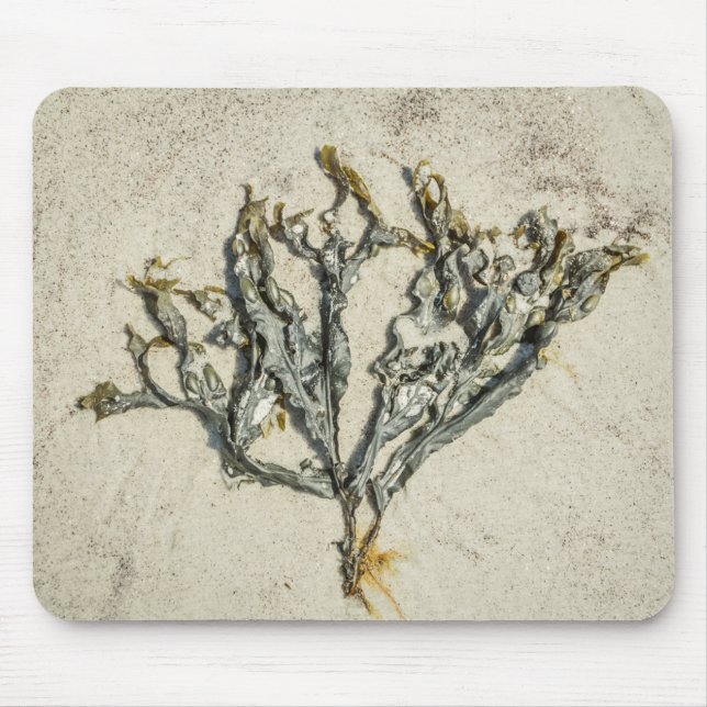 Coastal Maine Seaweed on a Sandy Beach Mouse Pad (Front)